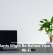 Houseplants Might Be Behind Your Sluggish Wi-Fi